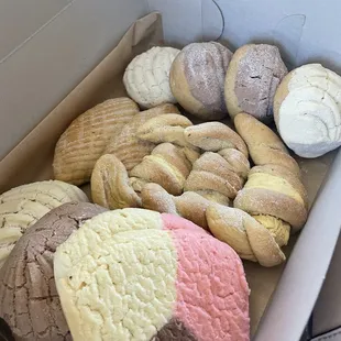 Variety of pan dulce
