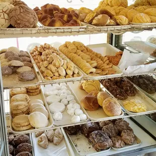 Everything is fresh and delicious