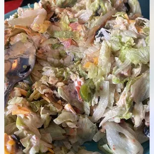 Most of the taco salad was lettuce