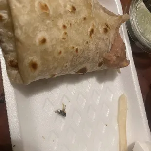 FLY inside Bean and Cheese Burrito