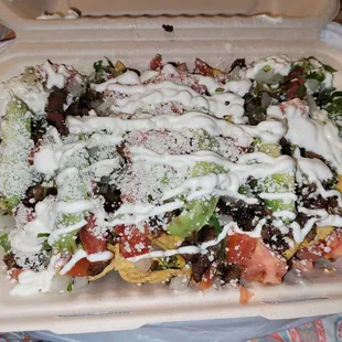 Carne asada nachos