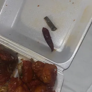 literal cigarette butt in the japanese chicken !