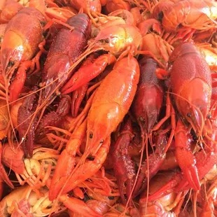 a large pile of craws