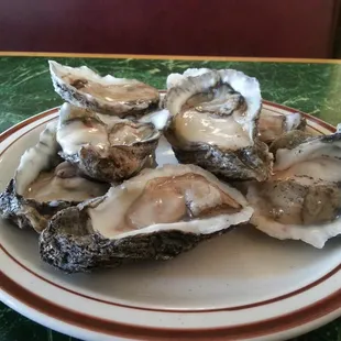 oysters, mussels, oysters and mussels, shellfish, food