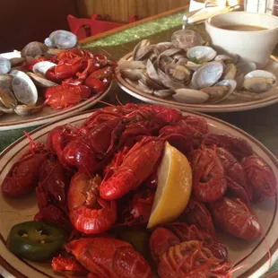 shellfish, oysters and mussels, food, oysters, mussels