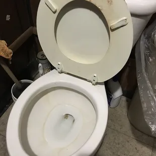 Filthy toilet