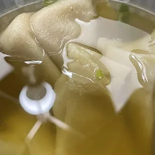 Wonton Soup