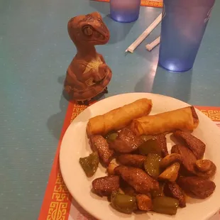 Bob the Raptor says "I see you hiding in the vegetables steak prey."
