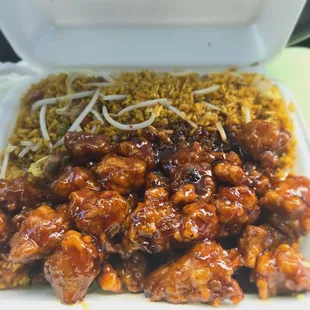 General Tsos combo plate with pork fried rice and extra bean sprouts...extra spicy