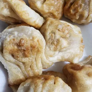 Fried Dumplings