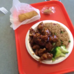 General Tso&apos;s chicken, pork fried rice, and an egg-roll. Very good. Super fresh broccoli.  (Sorry for the blurry pic).