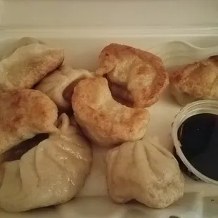 Pork fried dumplings