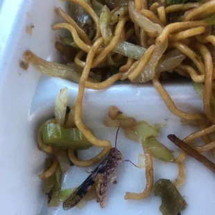 bro a cricket?‍ nah dont come here look what was in my food