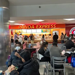 Panda at the Airport!