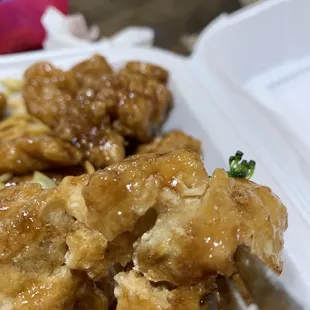 As you can see orange chicken