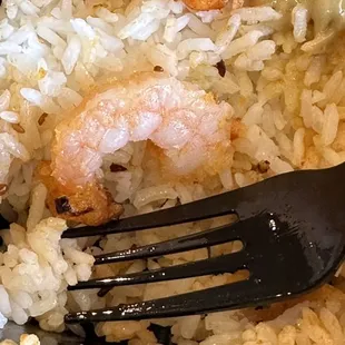 Shrimps were so small
