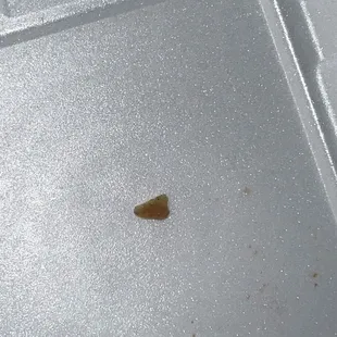 Chicken Bone