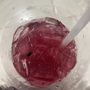 A bug in our drink