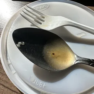 Small roach in wonton soup