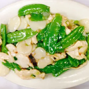 Chicken with Snow Pea