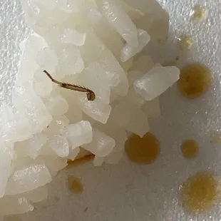 Rice with a roach leg