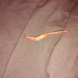 a dead plant on a bed