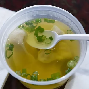 Wonton Soup