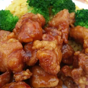 The General Chicken Lunch Special