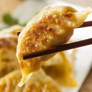 Pork pan fried dumplings