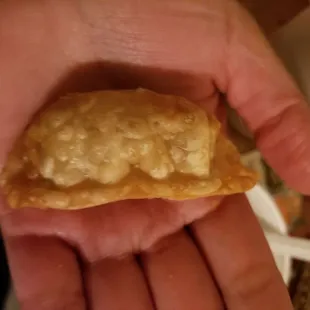 Fried dumplings. Order come with 8. They r so meaty.  it comes with a soy dipping sauce.