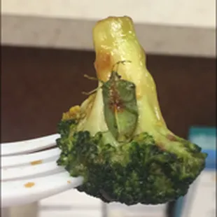 This is a picture of the bug that was cooked into the broccoli.