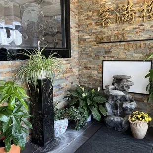 Panda House front door area. The restaurant is full of good energy. That's why all of the plants are looking good.