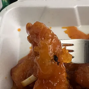 Orange shrimp