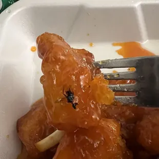 Orange Shrimp