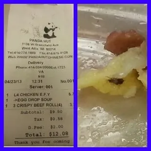 EAT AT OWN RISK!!!! Found a bug in my food!