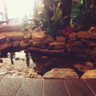 Their use of flowing waterfalls and attention to detail with their decor makes for a beautiful, serene environment