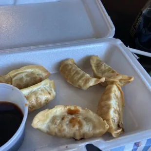 Fried Dumplings