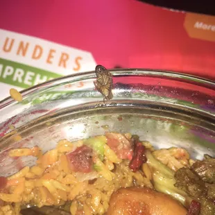 a close up of a plate of food