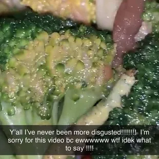 Broccoli and beef with a caterpillar