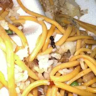 as you can see.There&apos;s a huge black bug inside of it! my boyfriend threw up when he saw it other than that he says the food was good