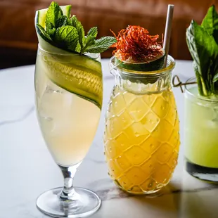 Cocktails at Pando Park