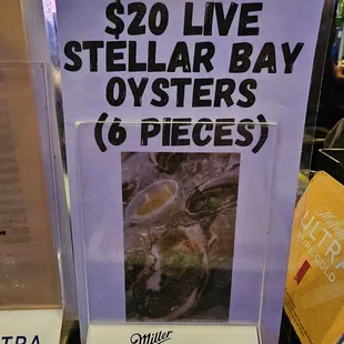 Oyster Special