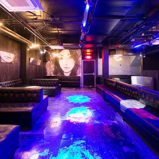Disco room can fit up to 100 people DJ booth / Private bar