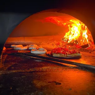 Wood fired oven