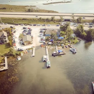 ramen and noodles, interior