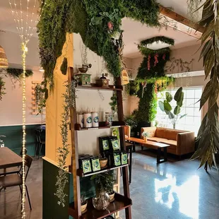 a display of plants