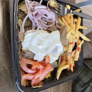 Gyro Plate