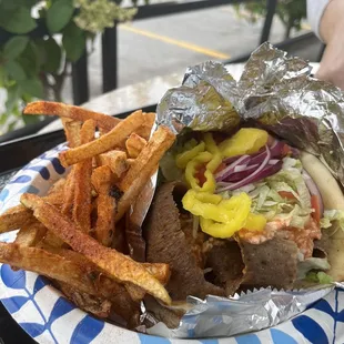 Spicy Gyro Sandwich and French Fries