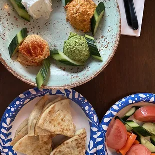 Appetizer sampler with hummus, tzatziki, and other dips, pita, and veggies