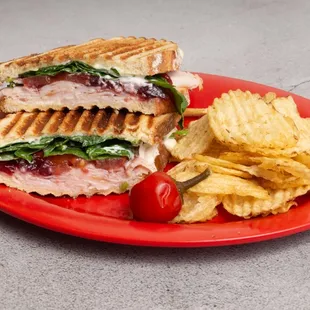 Turkey cranberry panini